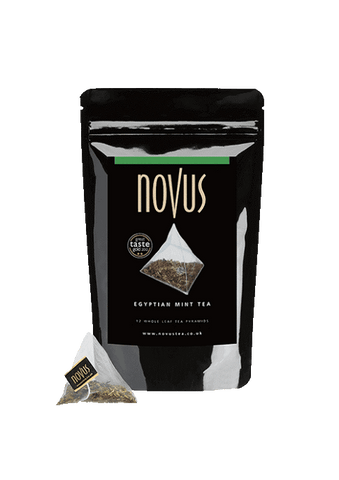 NOVUS TEAS EGYPTIAN MINT PYRAMID TEABAGS X 100